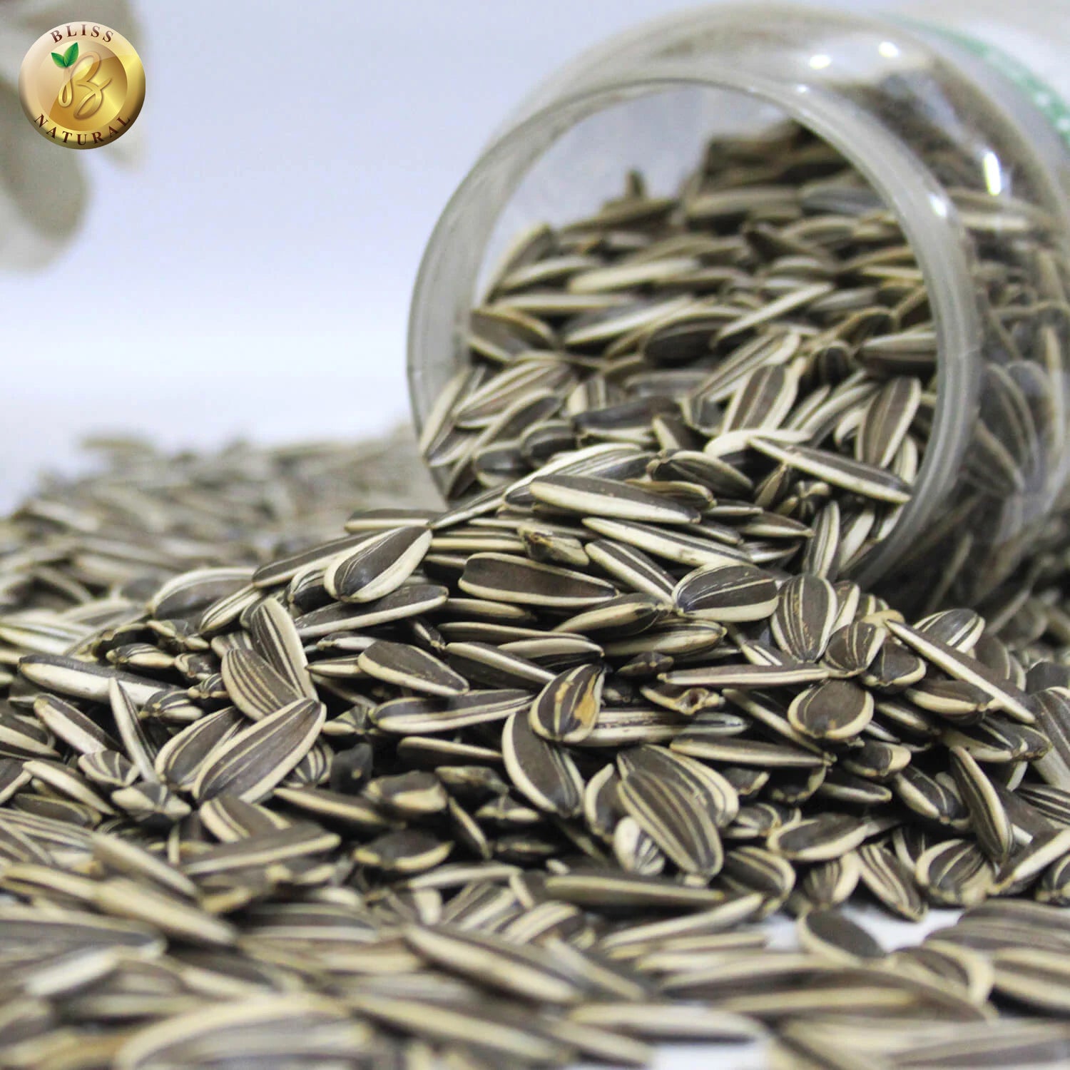 SUN FLOWER SEEDS IN A JAR